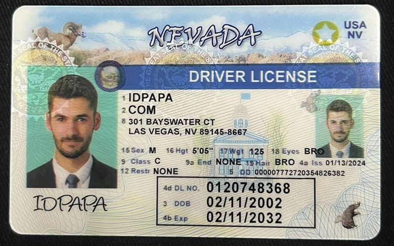 Nevada Fake ID